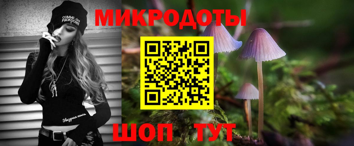 Североморск  Псилоцибиновые грибы мухоморы  Вход с VPN 